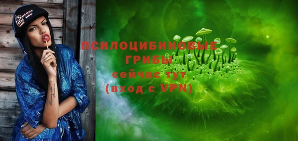 бошки Арсеньев