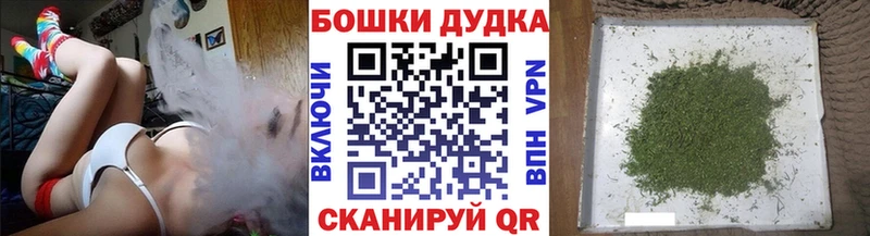 mega ссылки  Приозерск  нарко площадка клад  Марихуана AK-47 